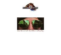 The Doobie Brothers Takin' It To The Streets (Vinyl LP)