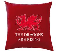 The Dragoni Are che Sorge - Cuscino - Wrexham Calcio Dragone Love Giocatore