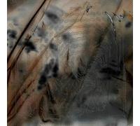 THE DRIFT INSTITUTE - DAMAGE AND THEIR SLICES