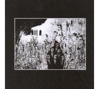 The Drin Elude The Torch (Vinyl LP)