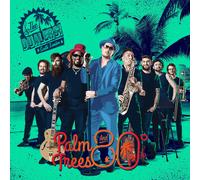 The Dualers Palm Trees and 80 Degrees (CD) Album