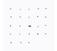 The Durian Brothers Split Series #22 (Vinyl LP) 12" Album