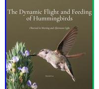 The Dynamic Flight and Feeding of Hummingbirds: Observed in Morning and Afternoon Light