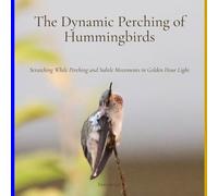 The Dynamic Perching of Hummingbirds: Scratching While Perching and Subtle Movements in Golden Hour Light