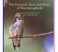 The Dynamic Rest and Reset of Hummingbirds: Moments Observed While Perching Between Flight and Feeding