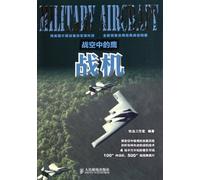 The Eagle in the Battle Sky - The Fighter (Chinese Edition)