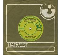 The Edgar Broughton Band - Apache Drop Out