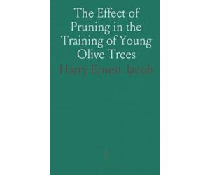 The Effect of Pruning in the Training of Young Olive Trees