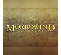 The Elder Scrolls III: Morrowind Game of the Year Edition (PC) Steam Key - EU