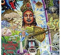 The Electric Family Saba (Vinyl LP) 12" Album