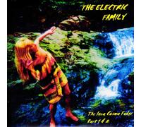 THE ELECTRIC FAMILY The Inka Cosma Fudge (Vinyl LP)