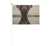 The Elephant by the River Mini bandiere, resistenti, 14 x 20 cm, piccole bandiere su bastoni per esterni, cortile e giardino, confezione da 6 e 10 pezzi