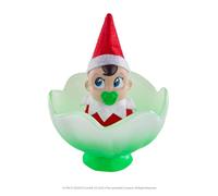 The Elf on the Shelf Frost Pips Mini Blooms | Elfo in magico fiore di gelo | Elfo sullo scaffale | Elfi neonati | Elfo Baby Elf Babies (elfo maschio con gli occhi azzurri)