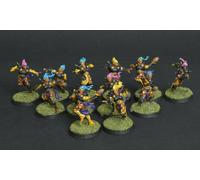 The Elfheim Eagles Blood Bowl COMMISSIONE dipinto