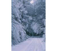 The Enchanted Quill, Sara's Poetic Journey