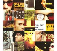 The End - You got me burning (I, Love Mix, 1993) [VINYL]