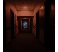 The Erised Room 414 (Vinyl LP) 12" Album