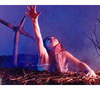 The Evil Dead [1021986] 8x10 Foto (Altre Misure Disponibile)