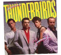 THE FABULOUS THUNDERBIRDS 45 RPM WRAP IT UP / WRAP IT UP