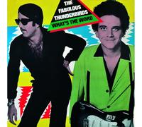The Fabulous Thunderbirds - What's The Word?