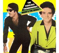 The Fabulous Thunderbirds What's the Word? (CD) Album