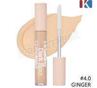 THE FACE SHOP Ink Lasting Dark Spot Concealer 5g #4.0 Ginger Color Correcting