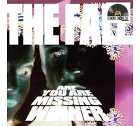 THE FALL - ARE YOU ARE MISSING WINNER