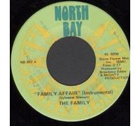 THE FAMILY - FAMILY AFFAIR 7" (VINYL 45) US NORTH BAY 0