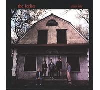 The Feelies - Only Life
