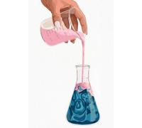 The Feminist Lab Notebook FR - Women in STEM Notebook - Carnet de notes Femmes et Sciences: A Cute French Academic Romance Inspired Notebook for Book ... of Women in Science & STEM Romance Fans