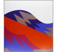 The Fiery Furnaces Remember (Vinyl LP)