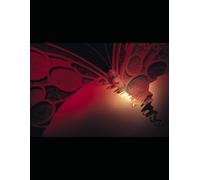 THE FINE TUNING OF RADIATION , CHARGES AND TIME: THE FUNDAMENTAL FORCES