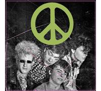 The Flaming Lip Scratching the Door: The First Recordings of the Flaming Li (CD)