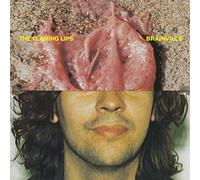 Flaming Lips The - Brainville