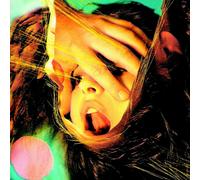 The Flaming Lips Embryonic (CD) Album