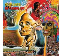 The Flaming Lips Oh My Gawd (Vinyl LP) 12" Album