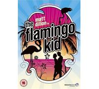 The Flamingo Kid [1984] [DVD] [Edizione: Regno Unito]