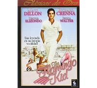 The Flamingo Kid