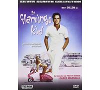 The Flamingo Kid