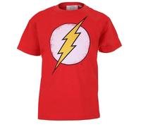 The Flash Maglietta Logo Effetto Invecchiato Ragazzi (TV1006)