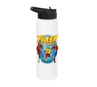 The Flash | Merch ufficiale DC Comics | WBUFLS03 Stainless Steel Insulated Water Bottle