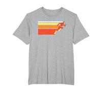 The Flash Retro Bars Maglietta, Uomo Taglie Grandi, Grigio Melange, 3X Tall