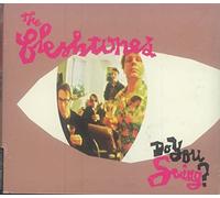 The Fleshtones - Do You Swing?
