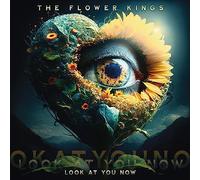 The Flower Kings Look at You Now (CD) Album
