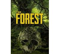 The Forest Steam Key GLOBAL