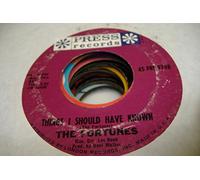 THE FORTUNES 45 RPM Things I Should Have Known / Here It Comes Again