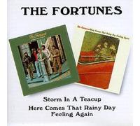 The Fortunes - Storm in a Teacup/Here Comes That Rainy Day Feeling Again
