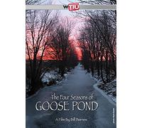 The Four Seasons of Goose Pond