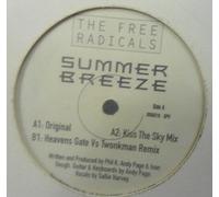The Free Radicals - The Free Radicals / Summer Breeze