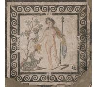 The Frenzy Of Bacchus